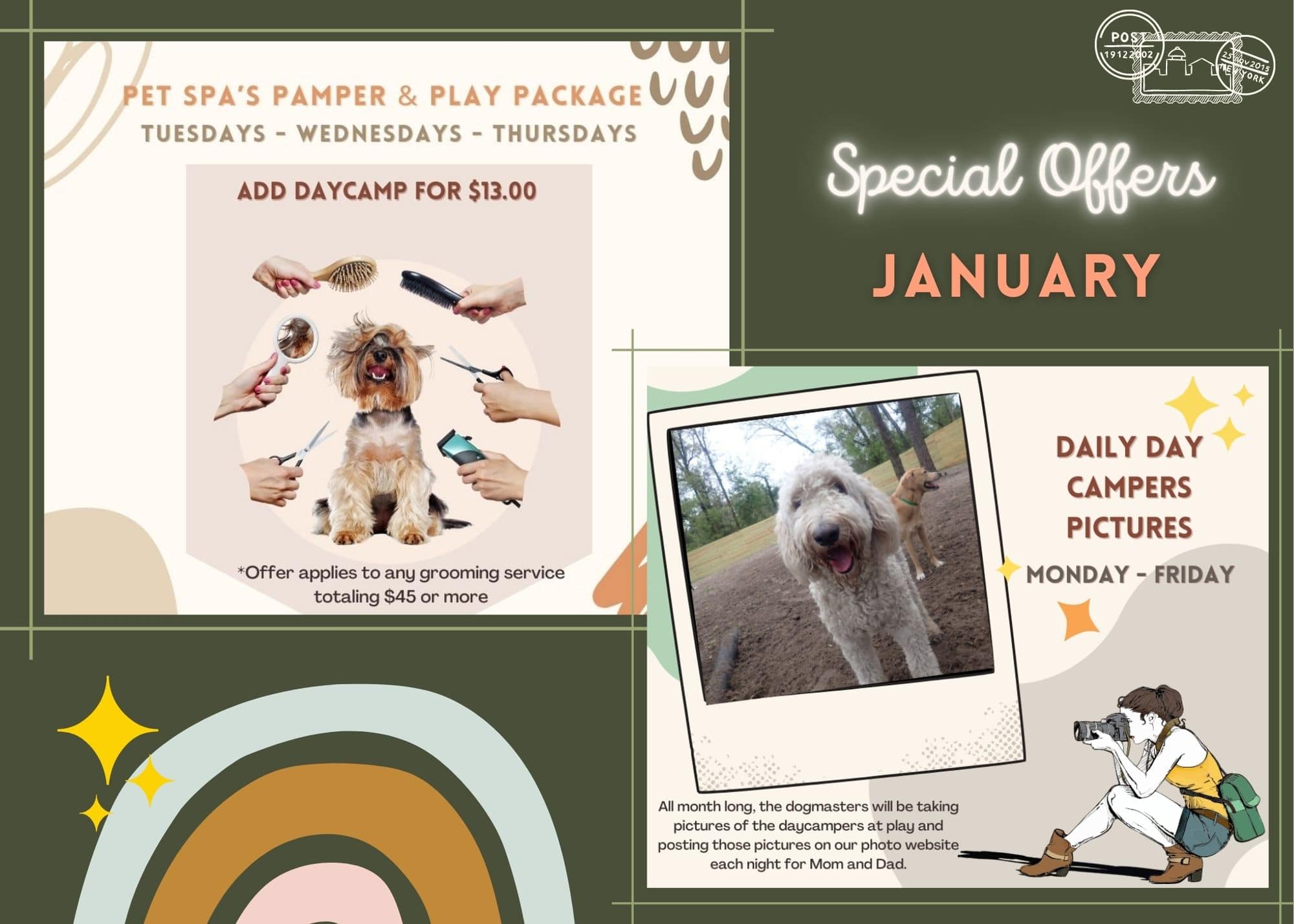 Pet Spa and Daycamp Specials