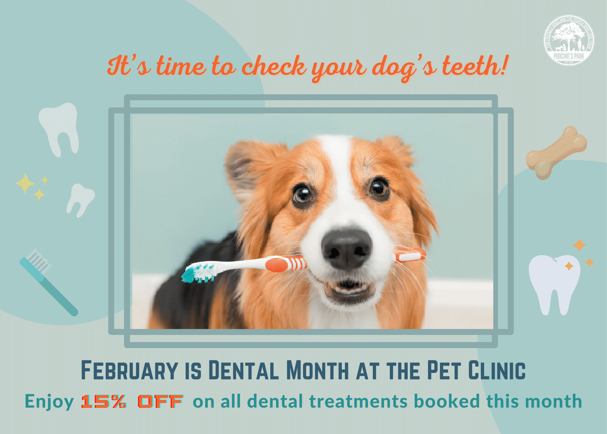 February Dog Dental Month