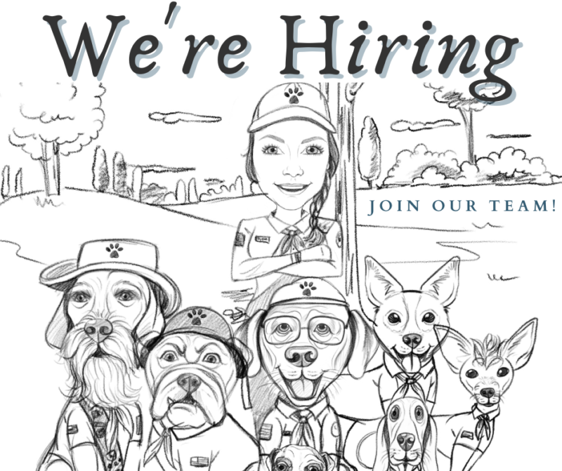We are Hiring Experienced Dog Handler as Kennel Guide, Supervisor Poochies