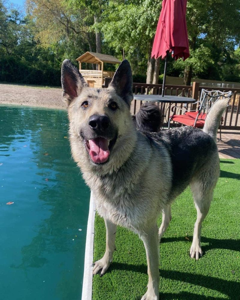 177338569_4134344146616463_5087165173511949596_n