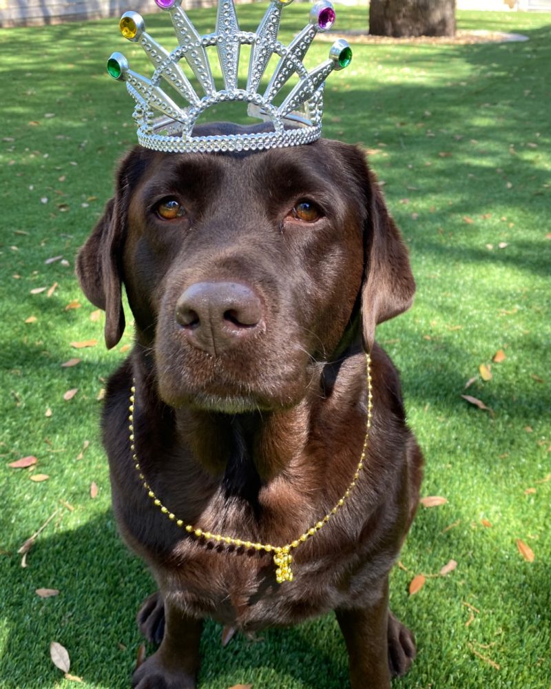 20250313_230930000_iOS