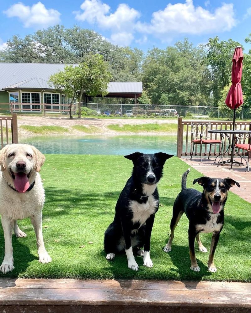 227707214_4405279896189552_7065191338713718775_n