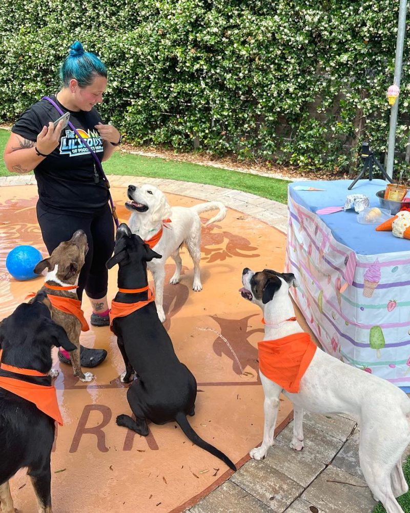 280118746_5309111309139735_7324388424894633797_n