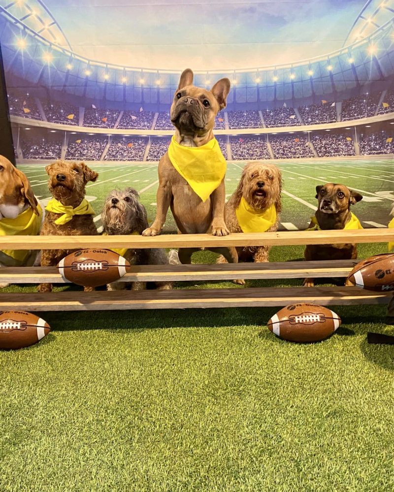 5089D940-ED3D-444E-A291-C017E40E98CA