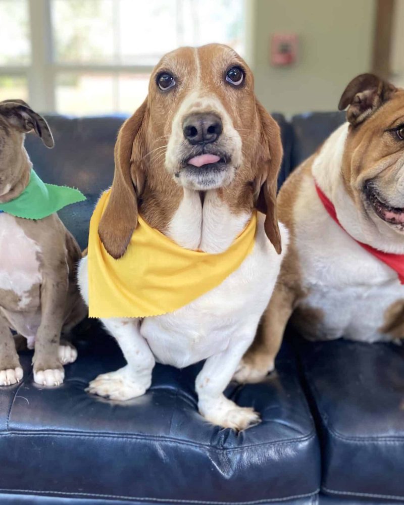 64B43B34-27EE-47FF-8129-A8D863A4A0C9