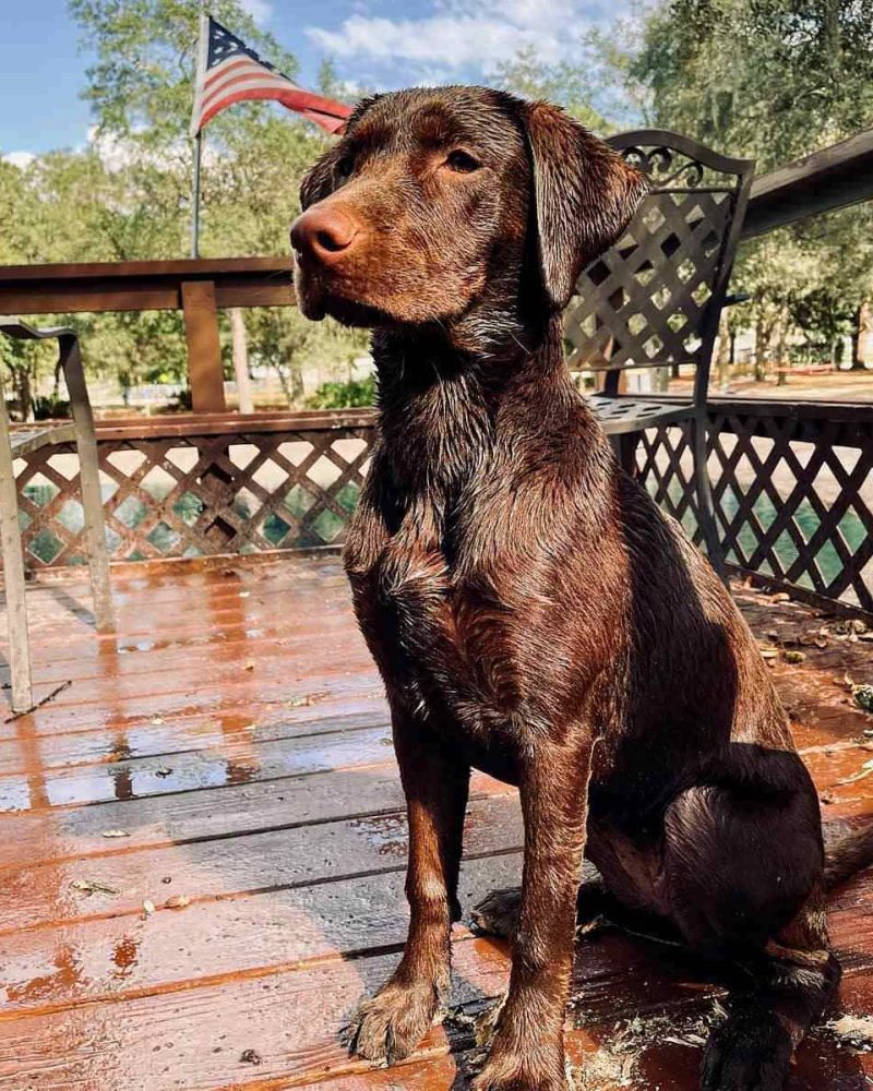 F10F019E-FDC2-4A9E-AB03-CB0086246AFE