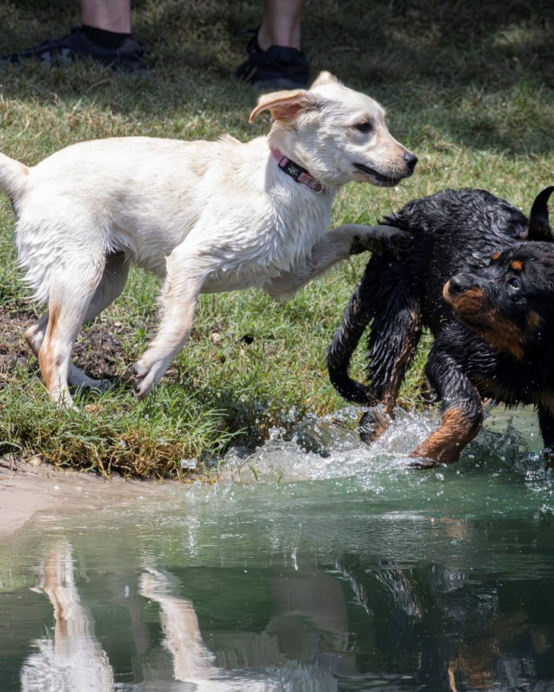 IMG_8608-Enhanced-NR