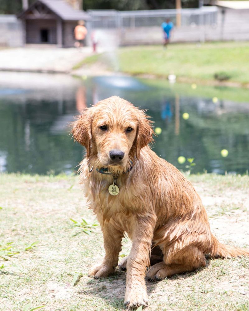 kodi_1379-Enhanced-NR