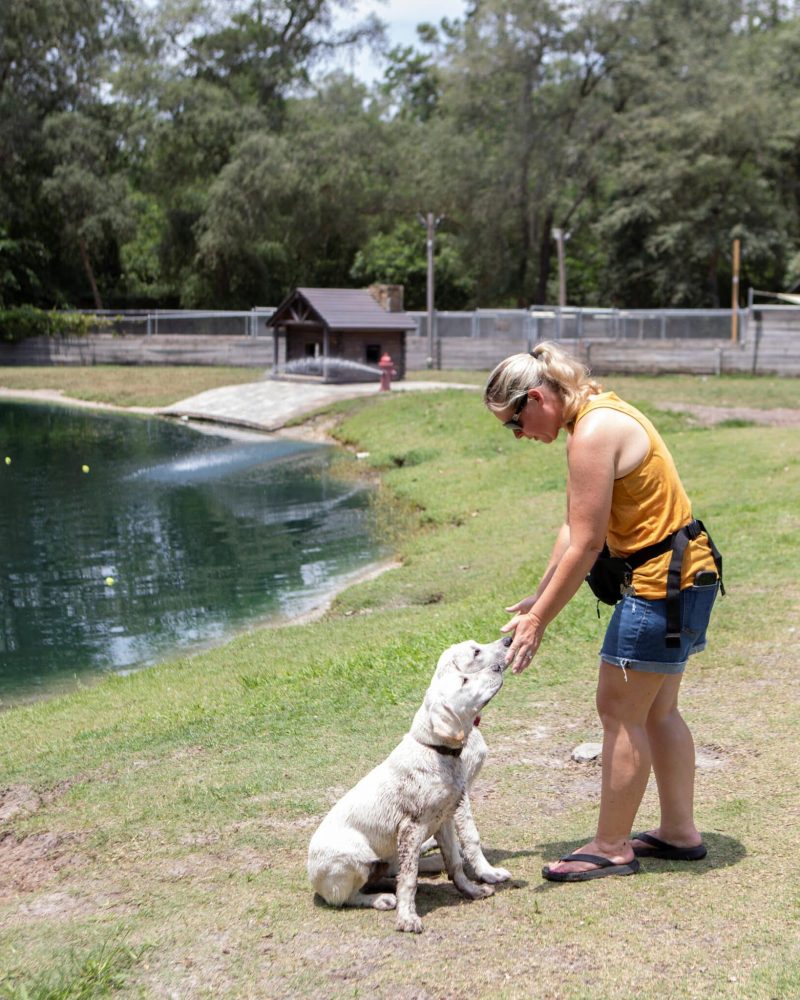 labs1392-Enhanced-NR